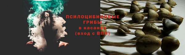 гашик Алзамай
