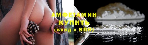 гашик Алзамай