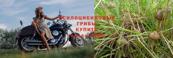 шишки Алексеевка
