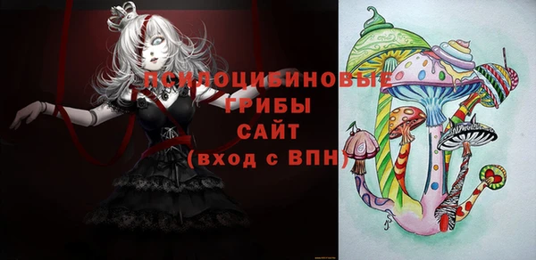 гашик Алзамай