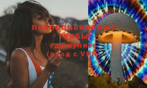 шишки Алексеевка