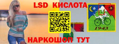 индика Можайск
