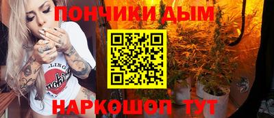 индика Можайск
