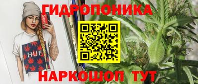 индика Можайск
