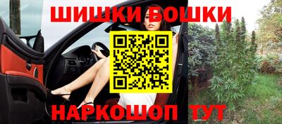 индика Можайск
