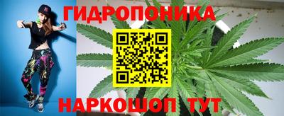 ECSTASY Моздок