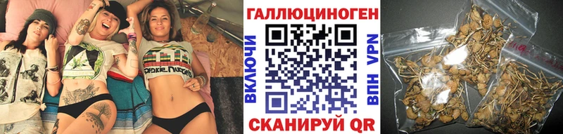 Псилоцибиновые грибы Magic Shrooms  купить   kraken сайт  Губкин 