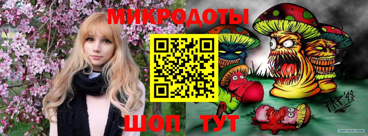 Галлюциногенные грибы Psilocybine cubensis  Галлюциногенные грибы MAGIC MUSHROOMS  Вход с VPN  Губкин 